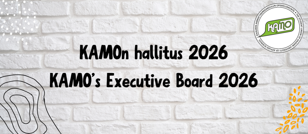 KAMOn hallituksen järjestäytyminen